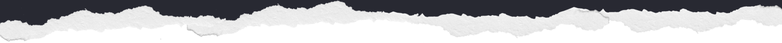 Paper Border bottom